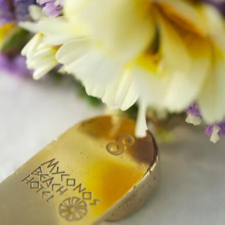 Otel Mykonos Mykonos Town